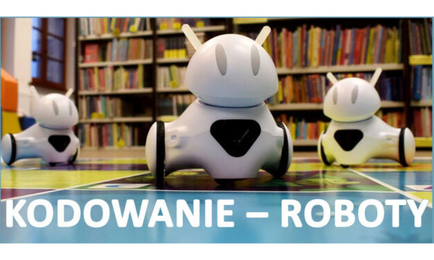 I ty steruj robotem