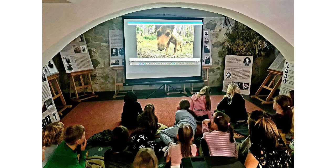 PODSUMOWANIE WARSZTATÓW „LEŚNE DZIECI”