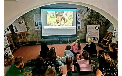 PODSUMOWANIE WARSZTATÓW „LEŚNE DZIECI”