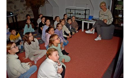 Akcja Żonkile w bibliotece