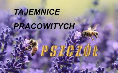 Warsztaty dla dzieci